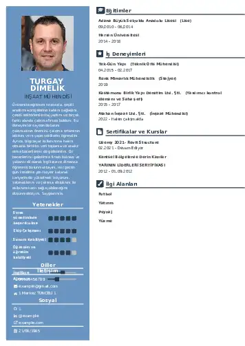 cv indir